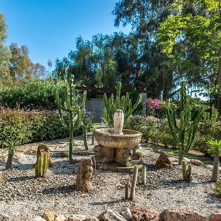 Fuentes Del Rodeo ماربيا